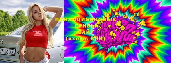 бутират Алексеевка