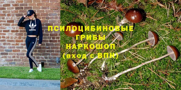 бошки Абдулино