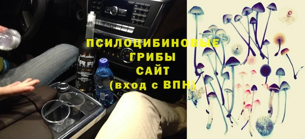 дживик Алзамай