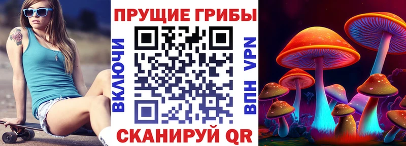 наркошоп  Евпатория  Галлюциногенные грибы GOLDEN TEACHER 
